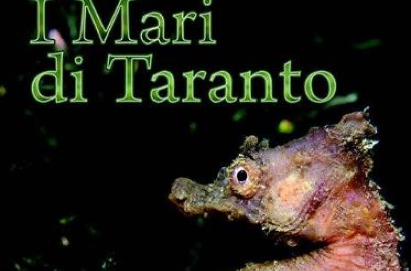 mare di taranto libro
