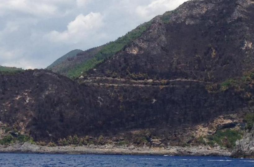 Lo «sfregio» dei piromanialla costa di Maratea