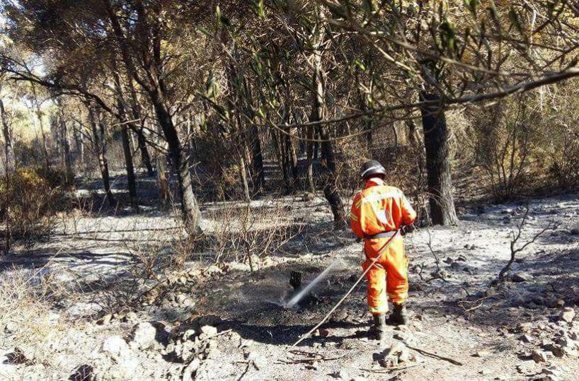 Incendio su litorale del Salento evacuati due agriturismi e case