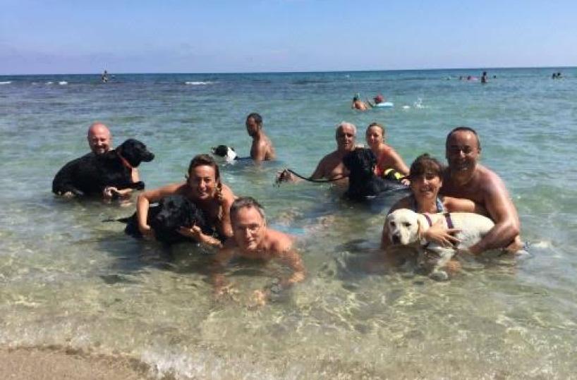 cani al mare