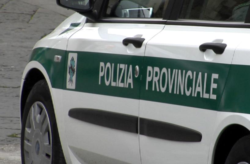 polizia provinciale
