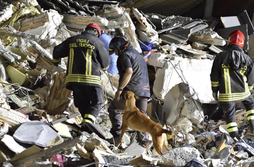 cani soccorso