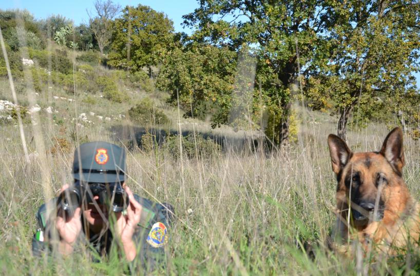 vigilanza contro bracconieri, caccia