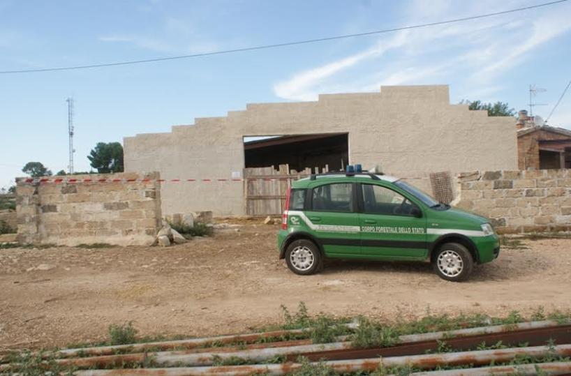 Latiano, Carabinieri forestali sequestrano 13 capretti di dubbia provenienza 
