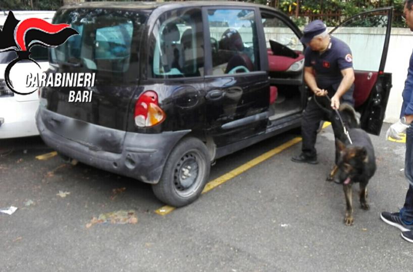 Il fiuto di Fighter incastra un trafficante di droga