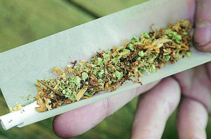 marijuana droga
