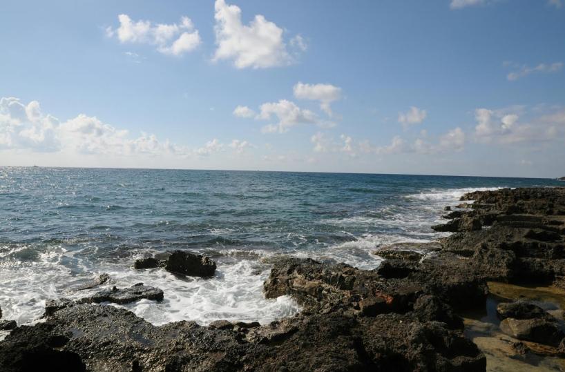 leuca scafista