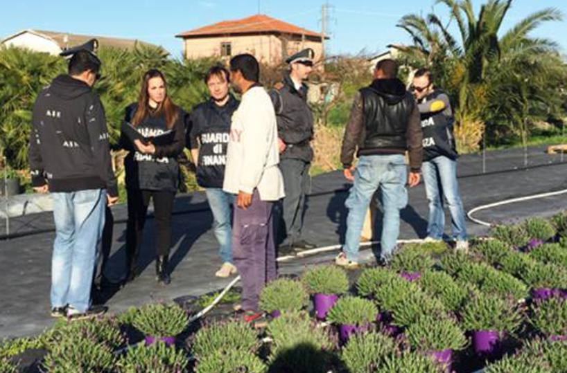 Lotta al caporalato«Ma le azienda pagano?»