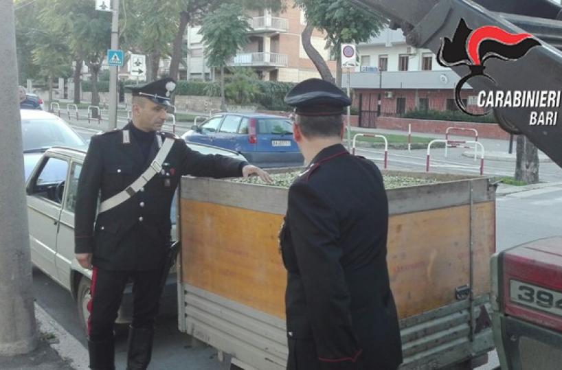 olive rubate carabinieri