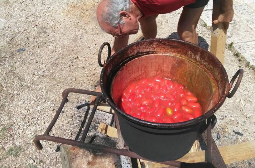 salsa di pomodoro