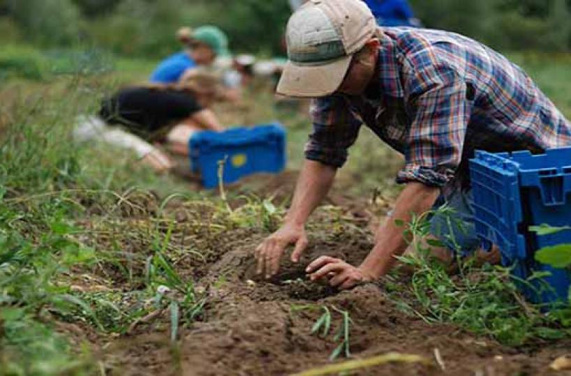 agricoltori 