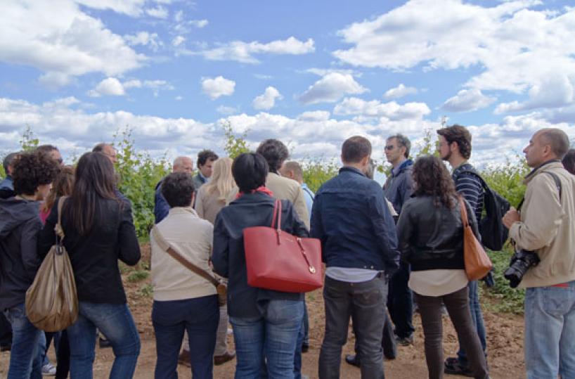 GUSTO - Come conoscere vigne, cantine e anche frantoi con Mtv Puglia