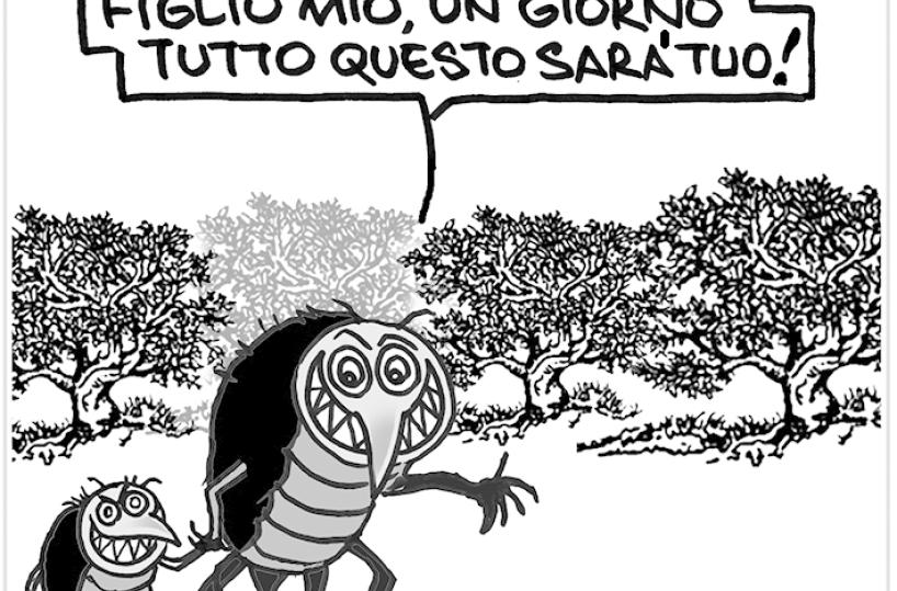 La  Xylella avanza.