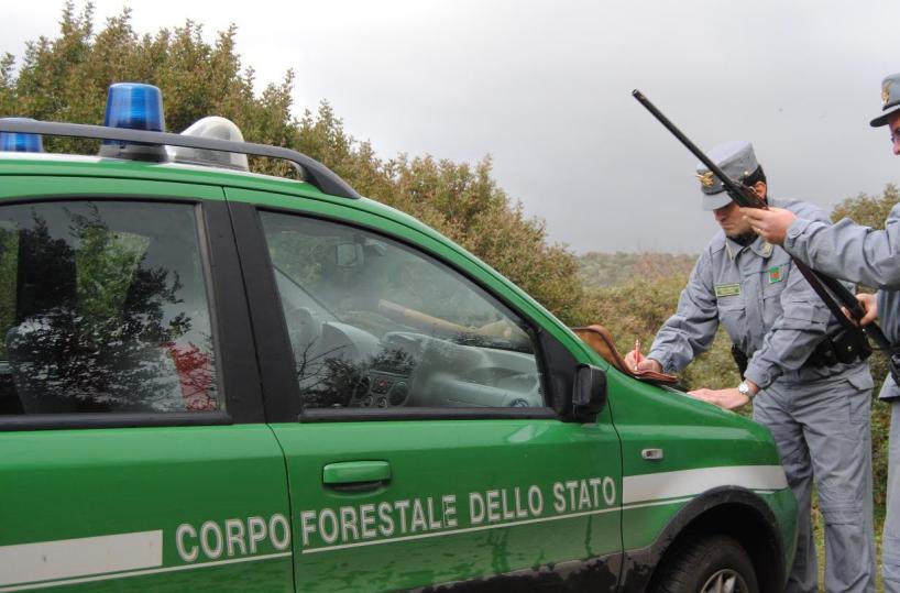 corpo forestale dello stato