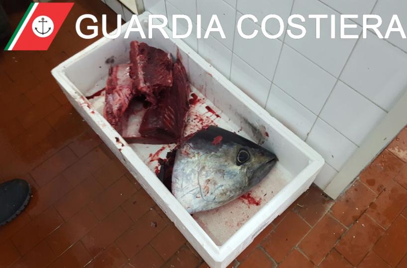 Sequestrato  tonno rosso a Maglie e poi donato alle suore di Monteroni