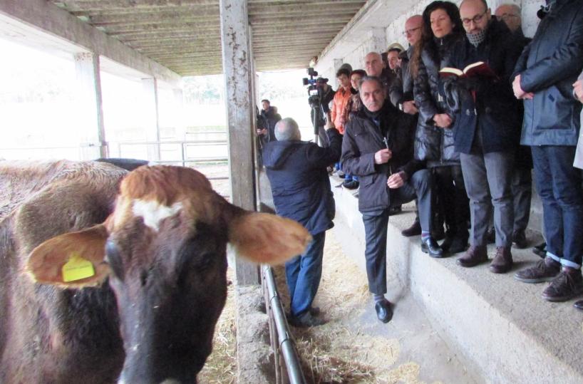 benedizione animali