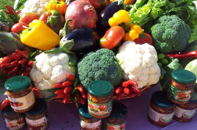 NEI CAMPI - L'agricoltura fa crescere il Mezzogiorno