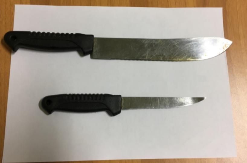 Gallipoli, finisce a coltellatelite tra fratelli: uno arrestato