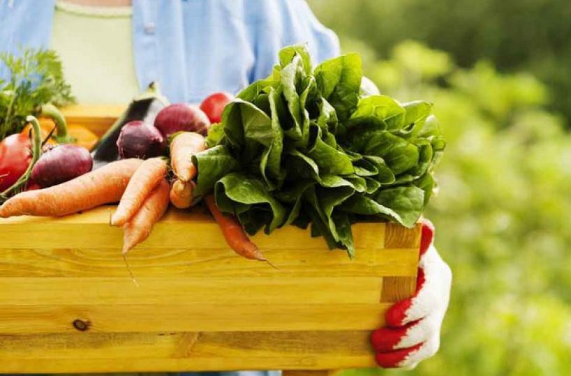 Esperti europei in Pugliaper sostenere imprese bio