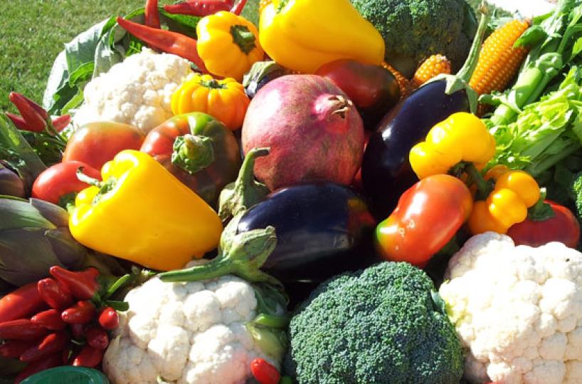 PUGLIA - Ortaggi, cavoli e peperoni