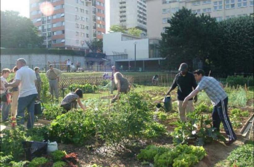 orto urbano