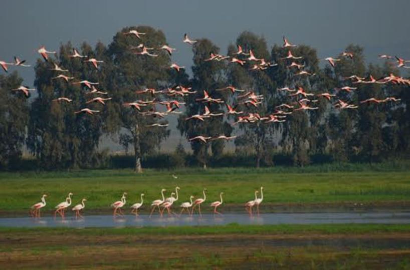 oasi lago Salso