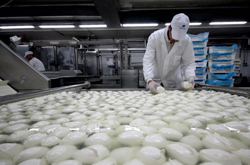 industria mozzarelle