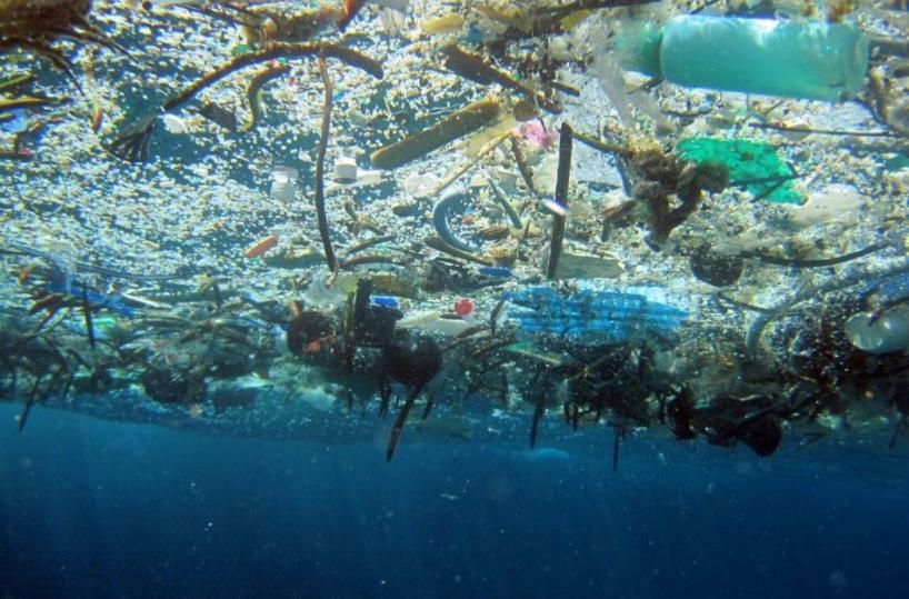 rifiuti e plastiche gallegianti