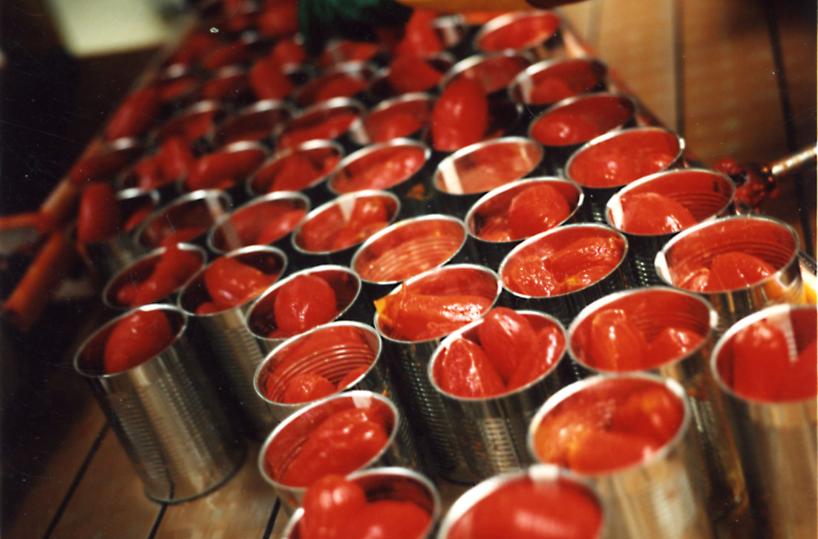 pomodoro industria