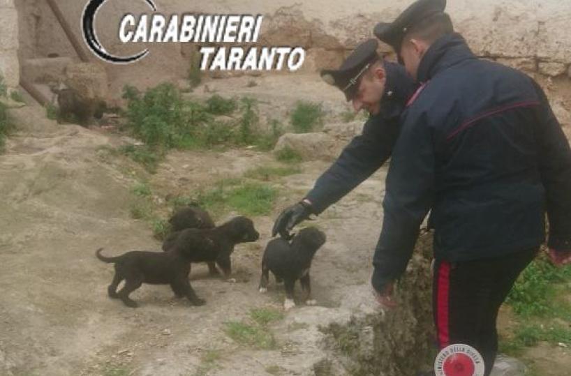 carabinieri forestali