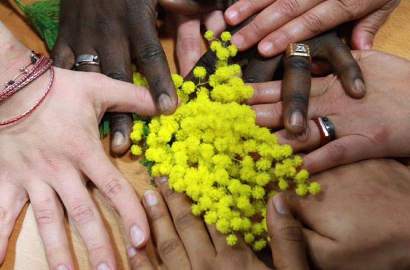 La mimosa, fiore simbolo della festa della donna, tra le mani di donne di diverse etnie e fedi religiose