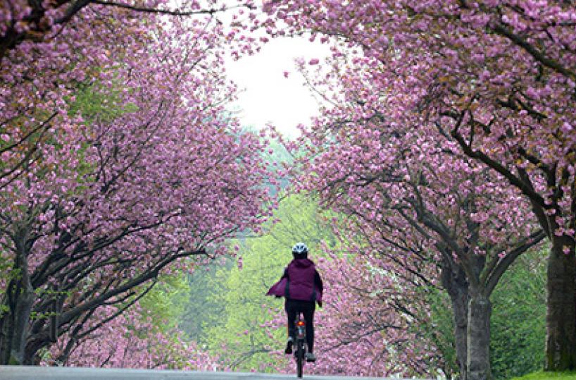 equinozio di primavera