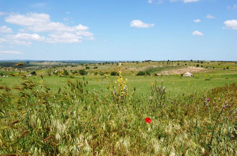 prato sulla murgia