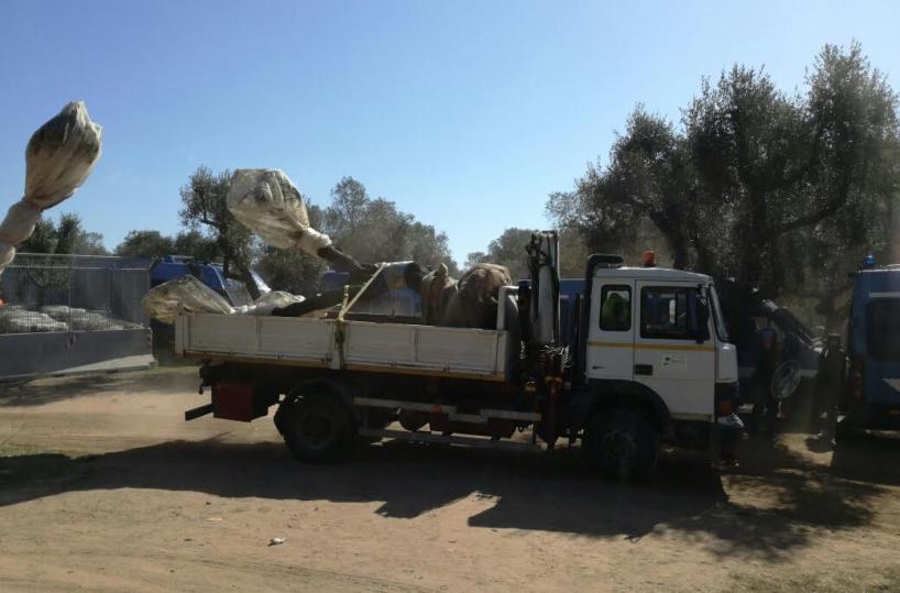 Tap, nuove tensioni: Polizia cacciamanifestanti e sindaco MelendugnoE i camion portano via già 28 ulivi