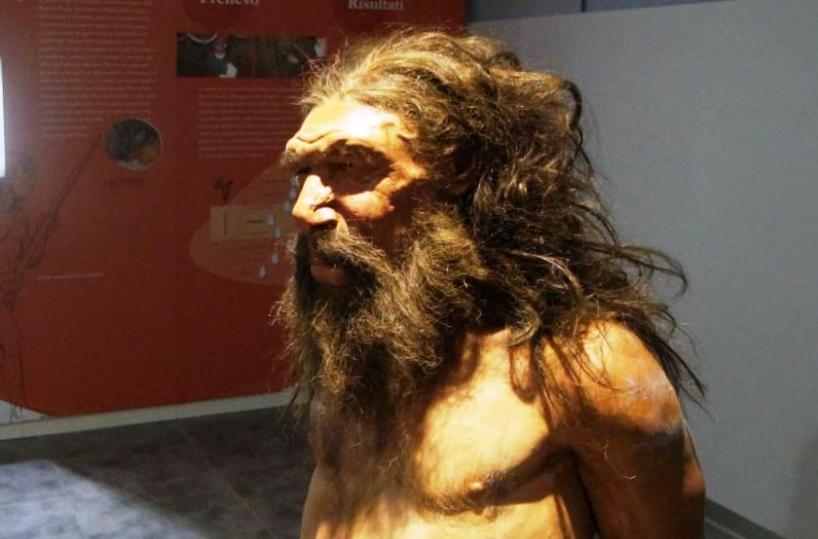 Uomo di Altamura, in 3 giornioltre mille visitatori al Museo