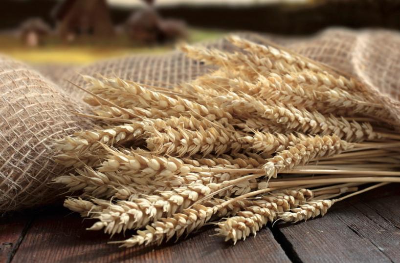 grano