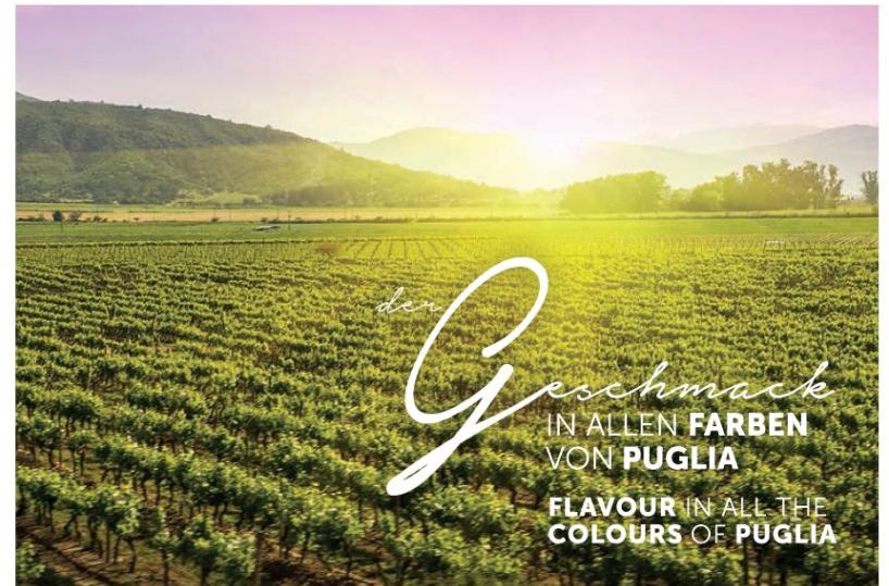 Vini pugliesi, web figuracciaSu brochure una foto del Cile