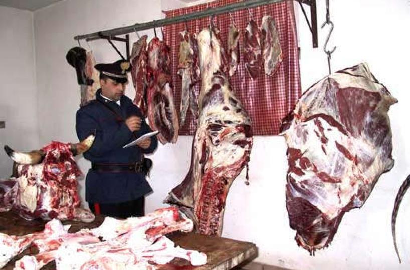 Macellazione clandestinodenunce e sequestri