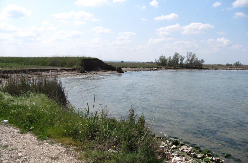 foce dell'Ofanto