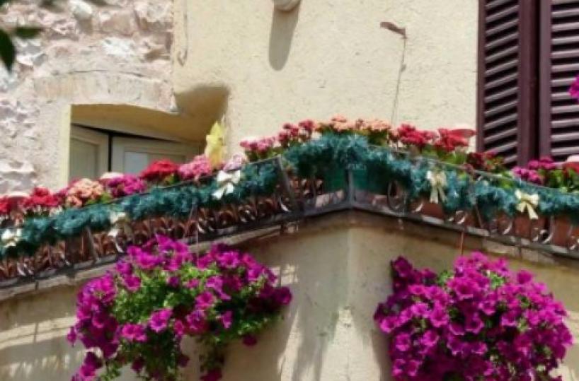 fiori su balconi