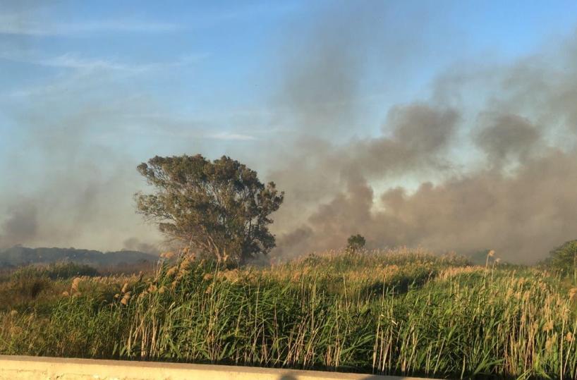 Porto Cesareo, rogo nel ParcoDuna Costiera, arrivano i Canadair
