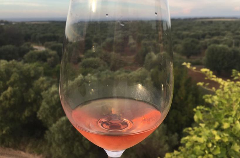 NEL CALICE - Un sorso di Salento