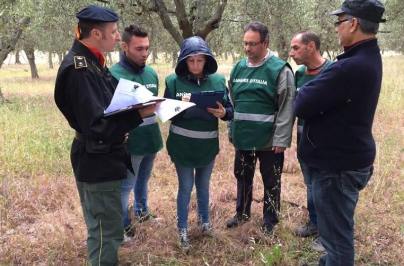 rangers puglia