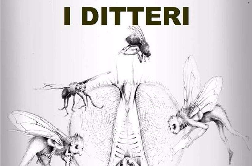 copertina ditteri