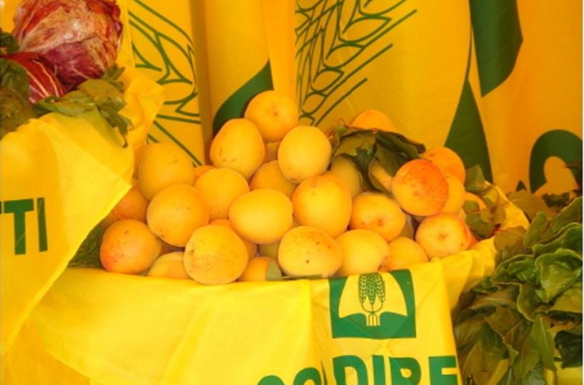 albicocche Coldiretti
