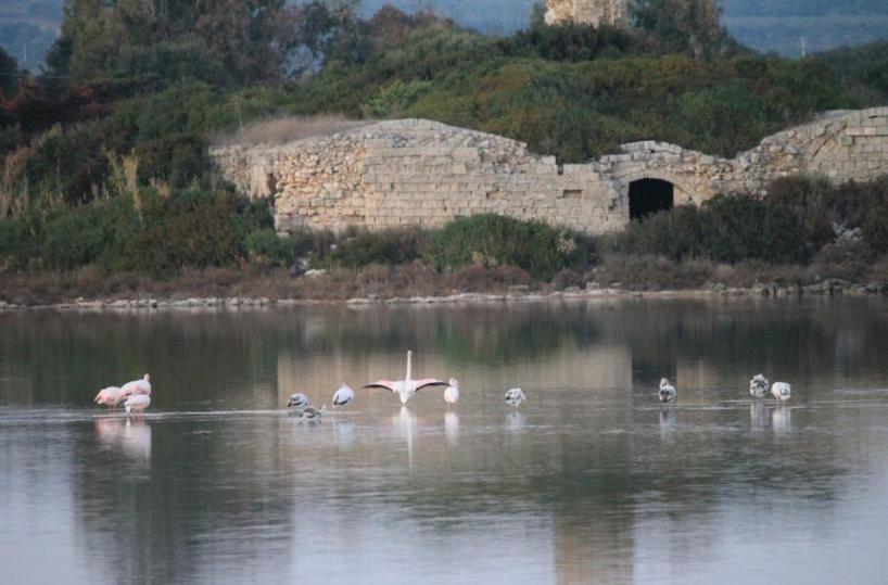 salina di Manduria