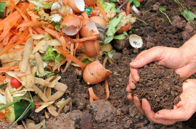 compost