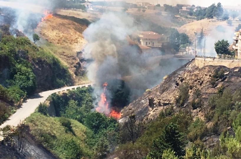 incendi in basilicata