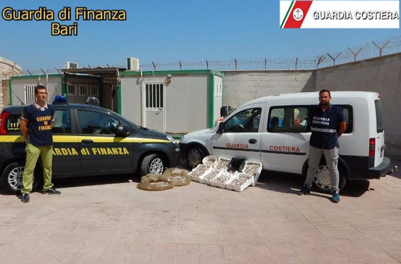 MOlfetta