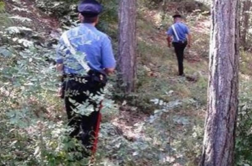 Gargano, alleanza tra clanper eliminare il boss Romito